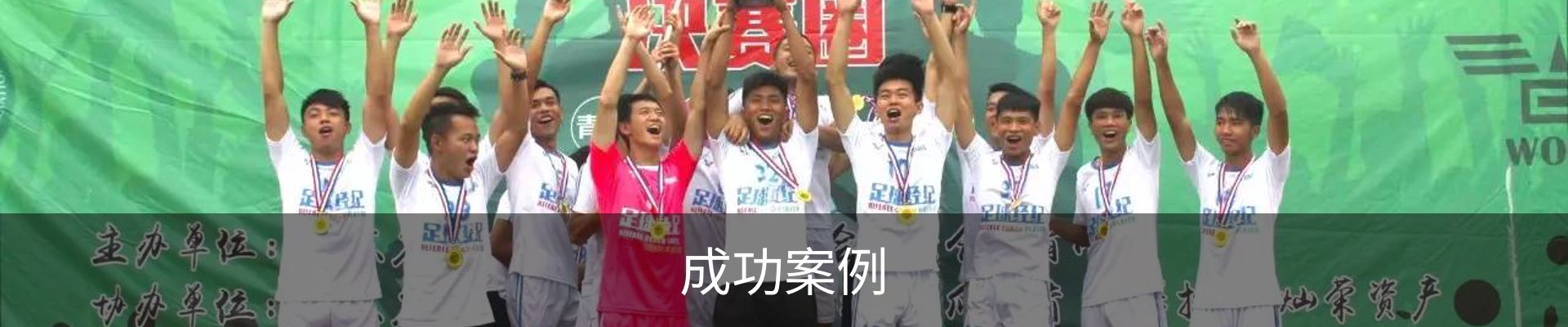 成功案例
